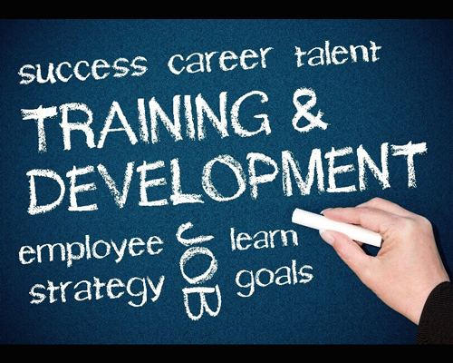 Certified Training Officer (CTO): Essential Skills for Effective Training